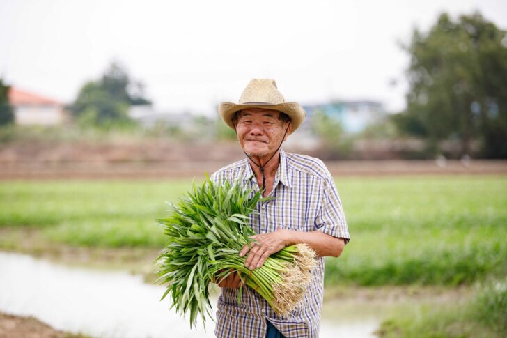 ปก ซีพี เกษตร