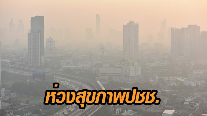 ฝุ่น-7