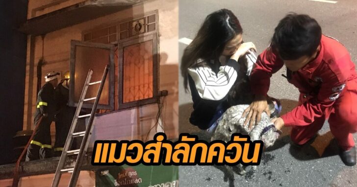 ภาพข่าว 451