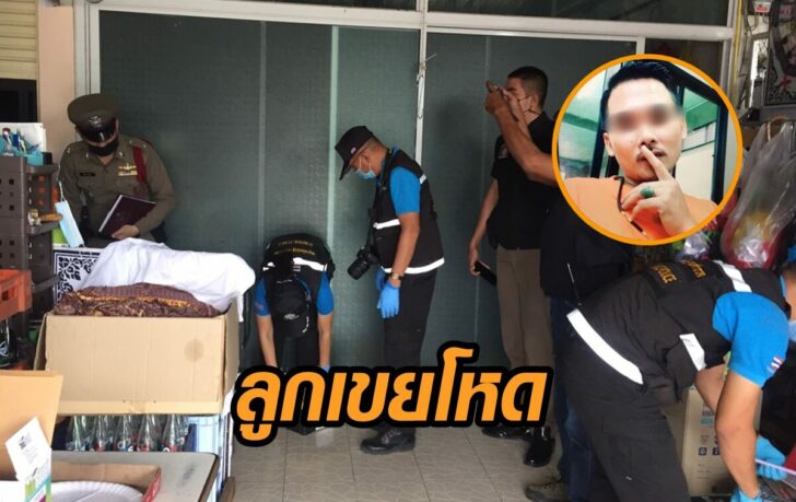 ลูกเขยโหด