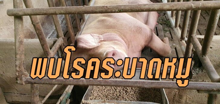 สระเเก้
