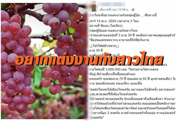 หนุ่มญี่ปุ่น