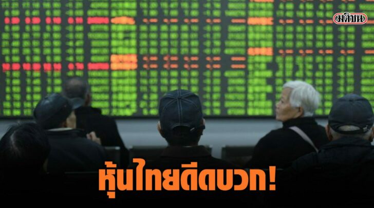 หุ้นดีด