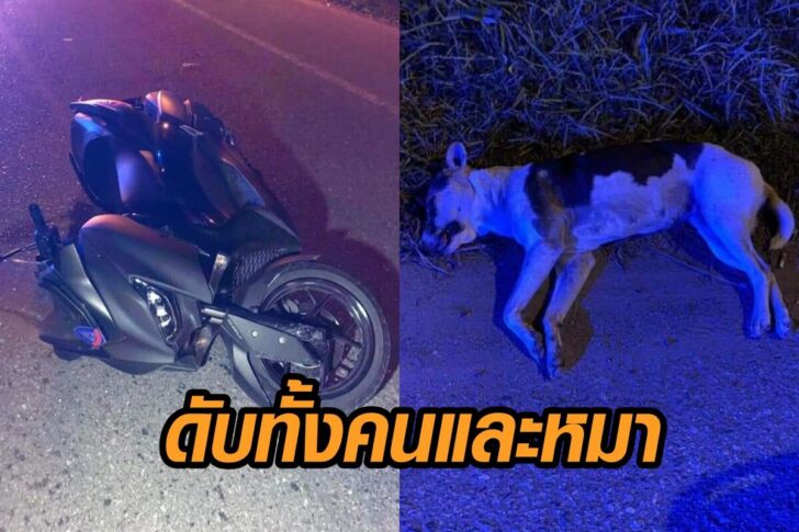 อุบัติเหตุ