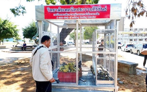 เครื่องให้อาหารลิงอัตโนมัติ2