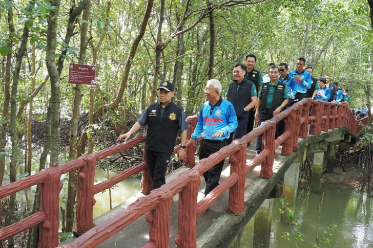 เปิดป่าในเมือง (1)