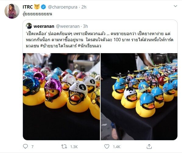 เป็ดกันน็อค 3