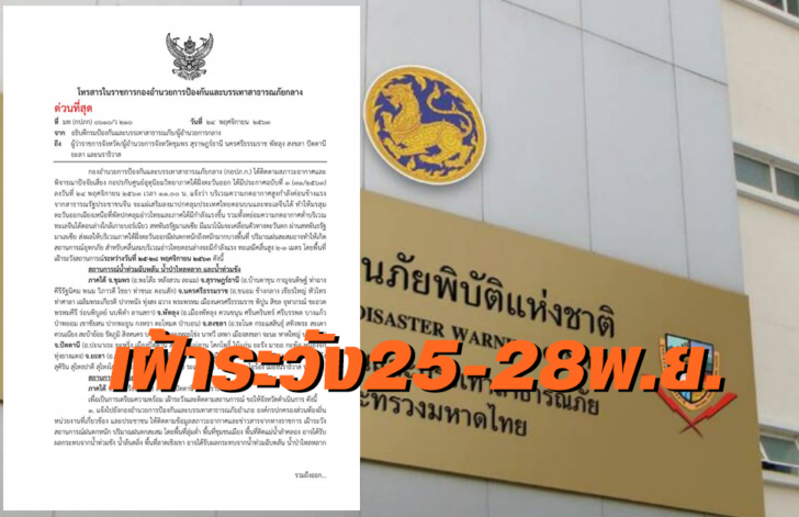 เฝ้าระวัง