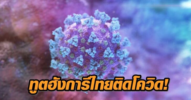 โควิด-12123213312+++123