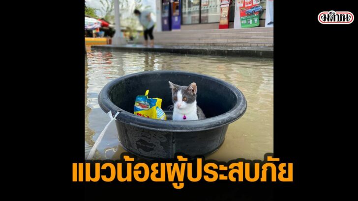 02-รูปนำก678676