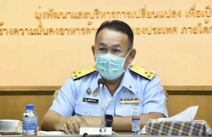 19เั้า