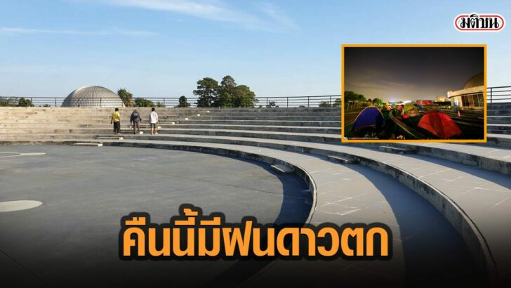 31ัาะ