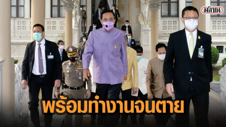 33เีามั