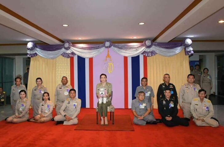 แหลมผักเบี้ย