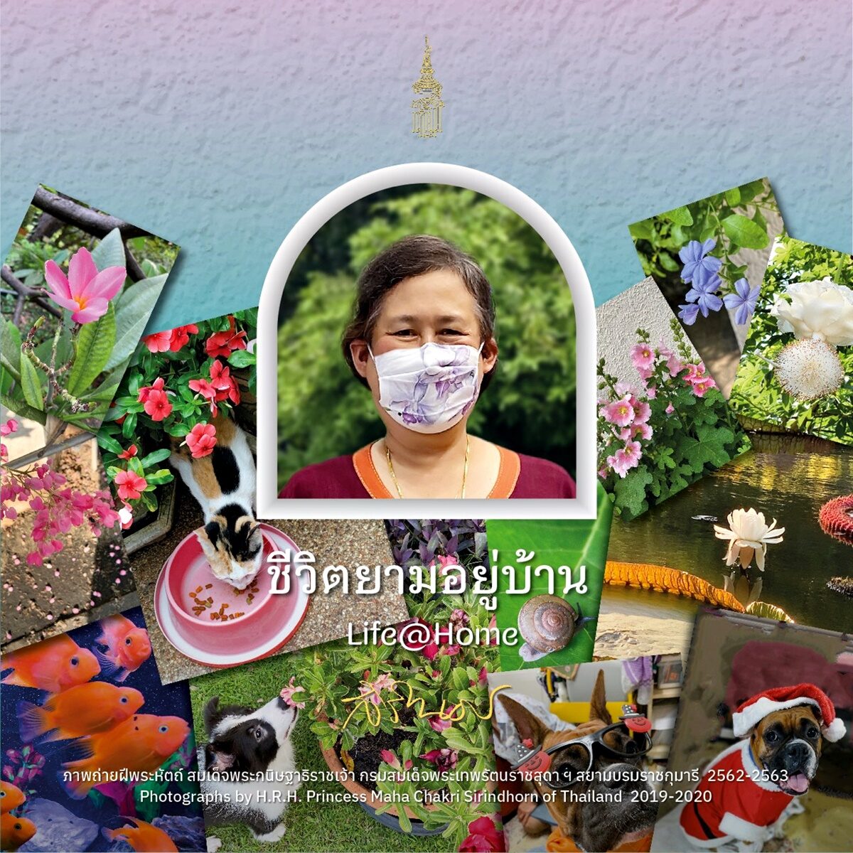 หนังสือภาพถ่ายฝีพระหัตถ์ "ชีวิตยามอยู่บ้าน: Life@Home"
