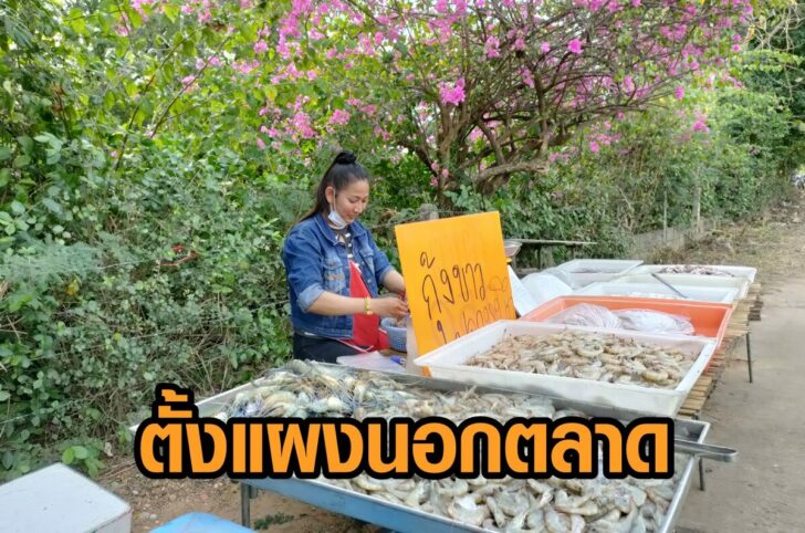 ขายกุ้ง-นอกตลาด