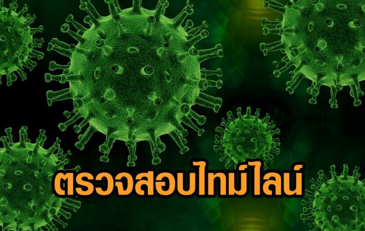 ตรวจสอบ-ไทม์ไลน์
