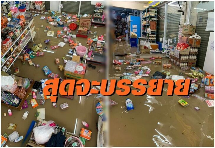 ทุ่งสง