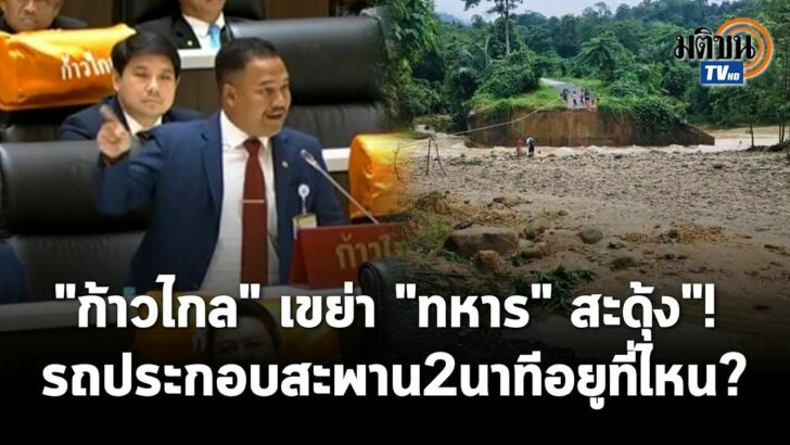 ปก ณัฐชาออน