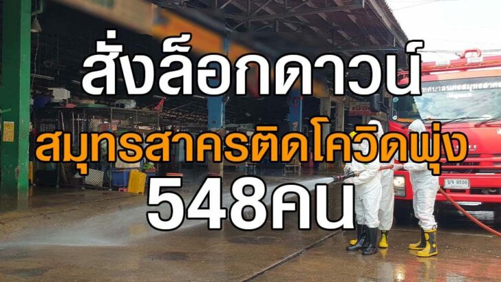 ปก-ล็อกดาวน์