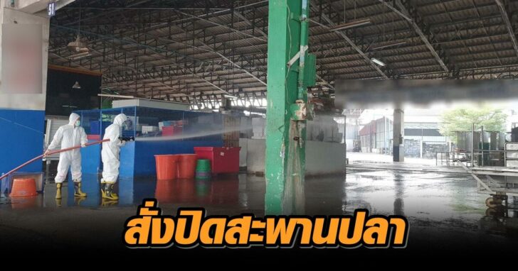 ปิดสะพานปลา+++78645