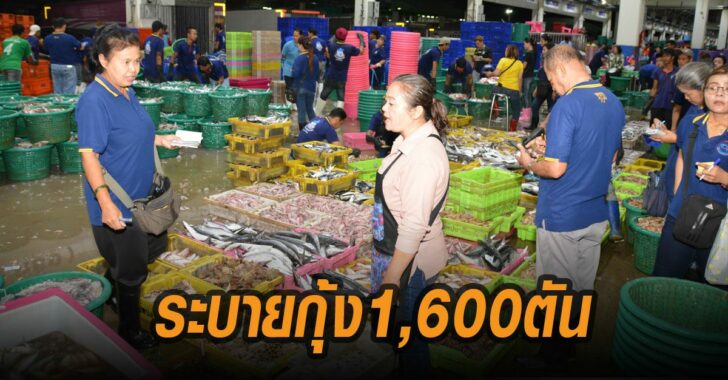 พณ-ดึงห้าง-ตลาดกลาง-ระบายกุ้ง-1.6-พันตัน