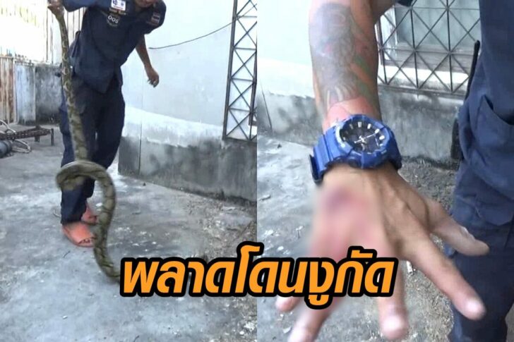 พลาดงูกัด