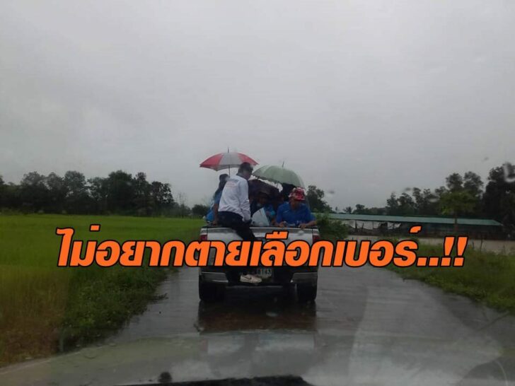 พัทลุง0