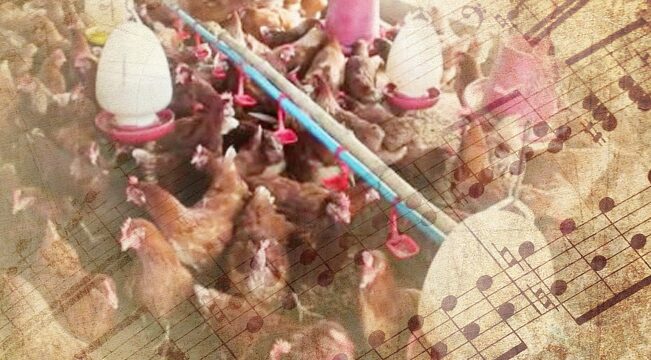 รื่นร่มรมเยศ : ชนใดไม่มีดนตรีการ