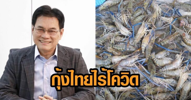 ภาพนำ กุ้งไทยไร้โควิด