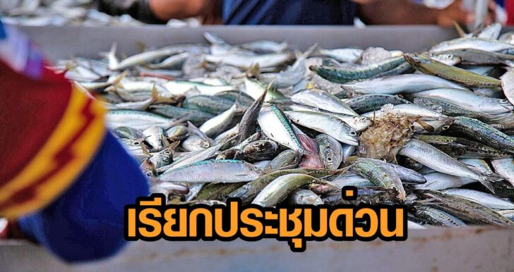 ภาพเด่น