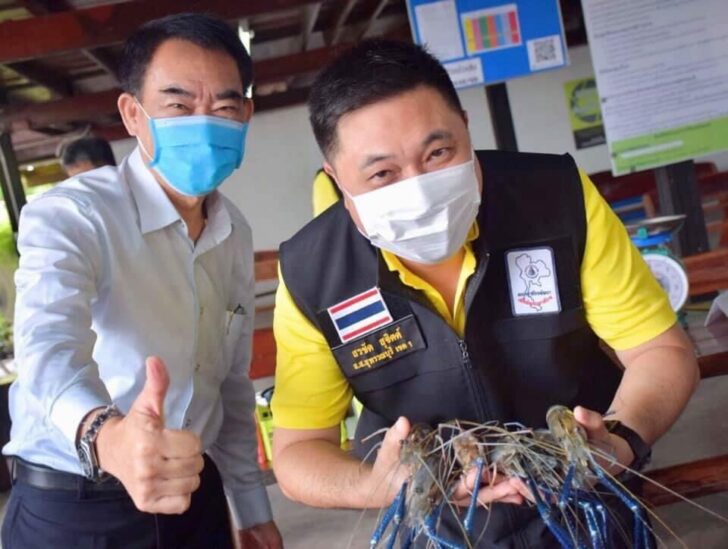สส.เพื่อไทย