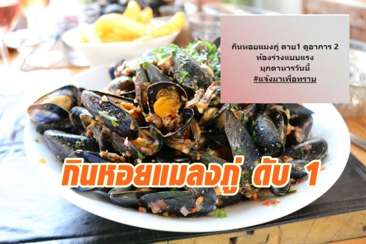 หอยแมลงภู่4