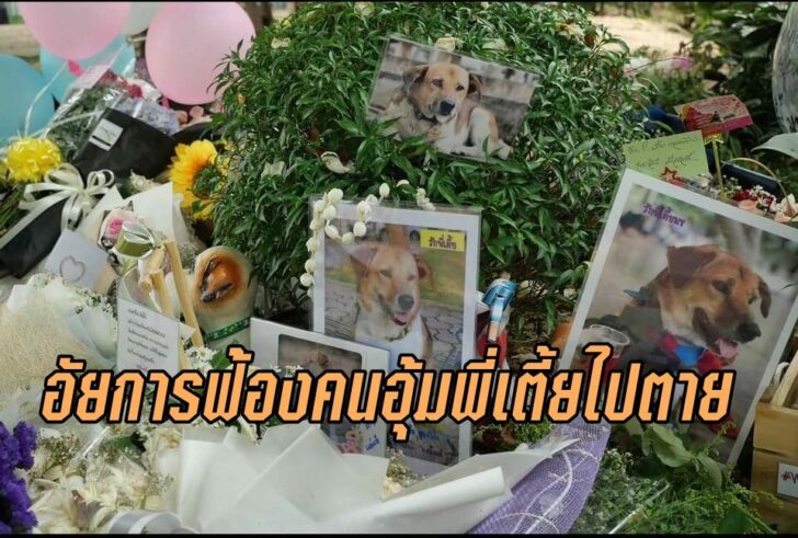 อัยการฟ้องพี่เจี้ย