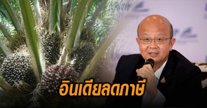 อินเดียลดภาษีน้ำมันปาล์ม