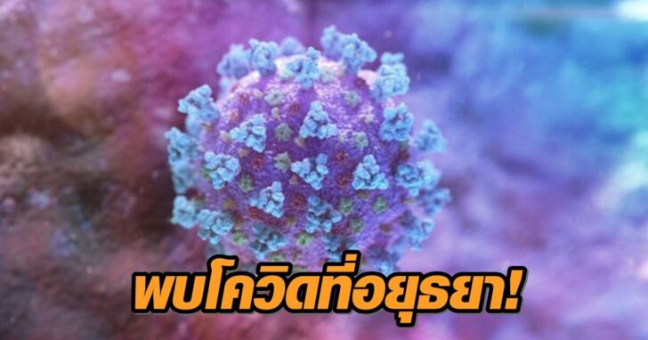 โควิด อยุธยา โควิด อยุธยา