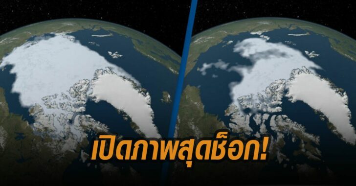 %E0%B8%99%E0%B8%B2%E0%B8%8B%E0%B8%B2-%E0%B9%80%E0%B8%9B%E0%B8%B4%E0%B8%94%E0%B8%A0%E0%B8%B2%E0%B8%9E%E0%B8%AA%E0%B8%B8%E0%B8%94%E0%B8%8A%E0%B9%87%E0%B8%AD%E0%B8%81-%E0%B9%80%E0%B8%9B%E0%B8%A3%E0%B8%B5%E0%B8%A2%E0%B8%9A%E0%B9%80%E0%B8%97%E0%B8%B5%E0%B8%A2%E0%B8%9A-%E0%B9%82%E0%B8%A5%E0%B8%81%E0%B8%A3%E0%B9%89%E0%B8%AD%E0%B8%99-728x380
