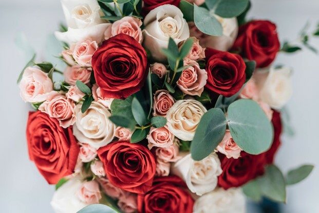5 ความหมาย สีดอกกุหลาบวันวาเลนไทน์ บอกรักเป็นภาษาดอกไม้ ด้วยความหมายสุดโรแมนติก