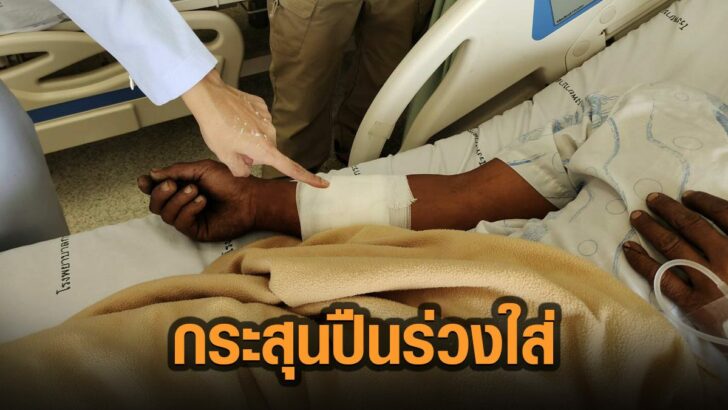 15ะาะ
