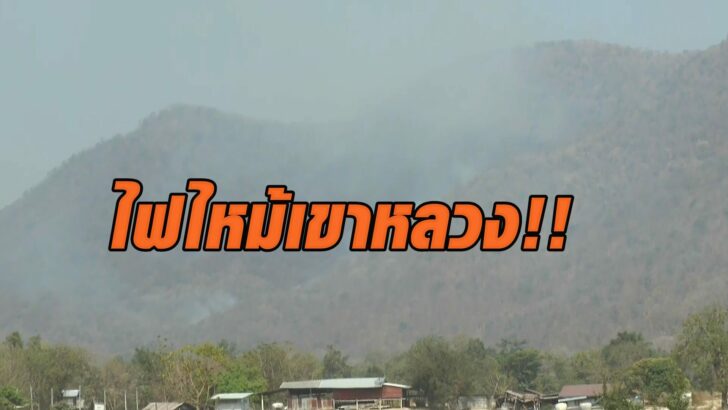 39836 This image is not belong to us