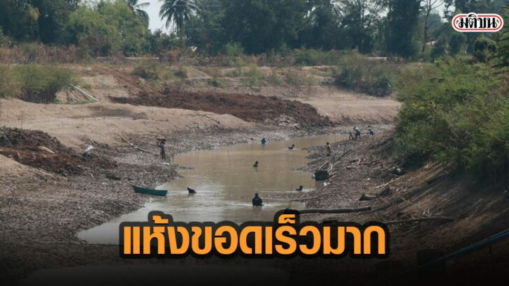 51เัส