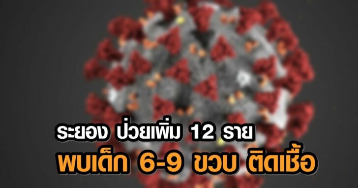 cv-1++78113++84521