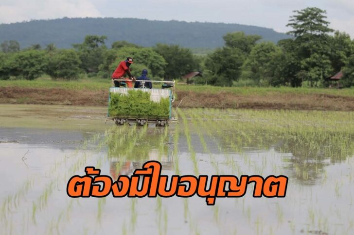 รับจ้างเกษตร