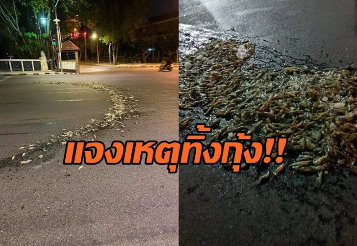 กุ้ง0
