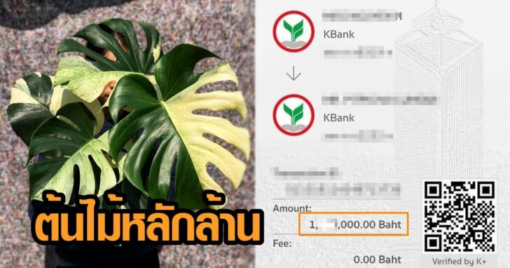 ต้นไม้ มติชน