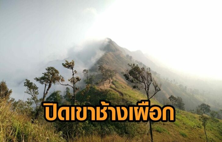 ปิดเขาช้างเผือก