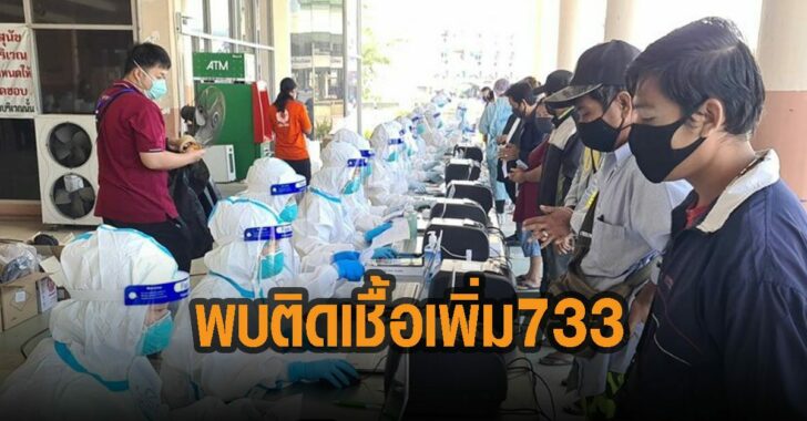 พบติดเชื้อเพิ่ม-733-ราย