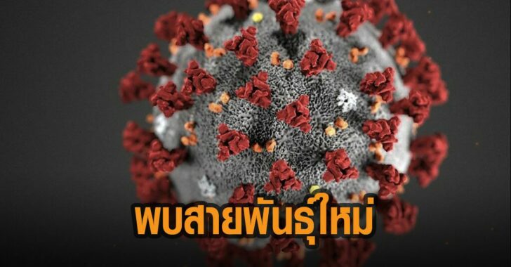 สายพันธ์ใหม่
