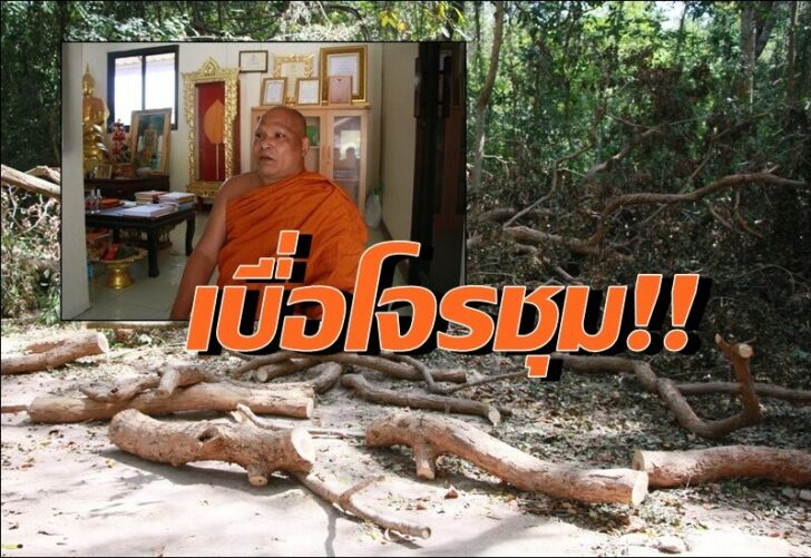พะยุง1