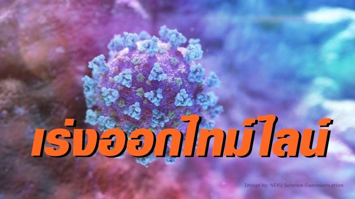 พัทลุงโควิด
